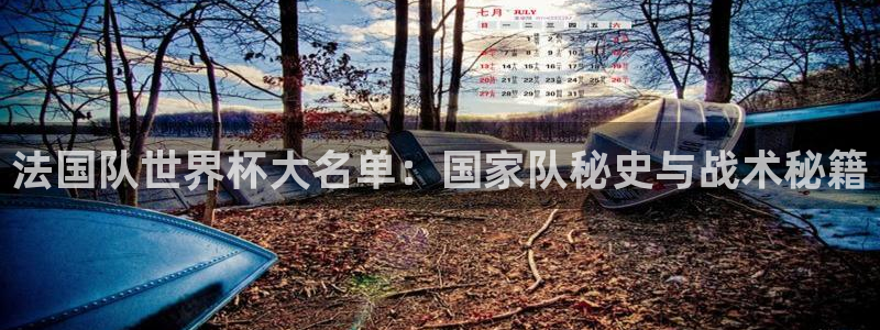 联赛杯直播:法国队世界杯大名单:国家队秘史与战术秘籍