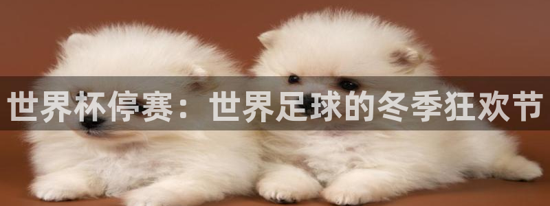 世预赛欧洲赛程表:世界杯停赛:世界足球的冬季狂欢节