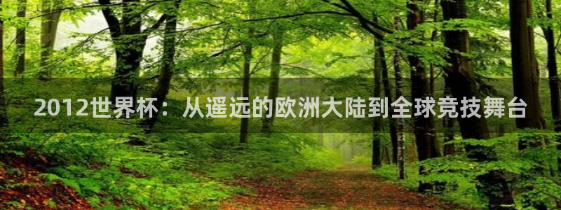 欧洲世预赛赛程表:2012世界杯:从遥远的欧洲大陆到全球竞技舞台