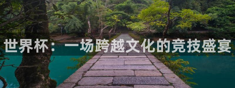 世界杯2026预选赛:世界杯:一场跨越文化的竞技盛宴