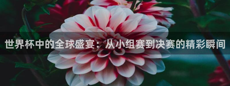 2026年世界杯直播平台:世界杯中的全球盛宴:从小组赛到决赛的精彩瞬间