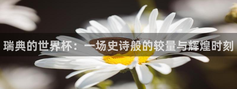 世界杯比赛直播:瑞典的世界杯:一场史诗般的较量与辉煌时刻