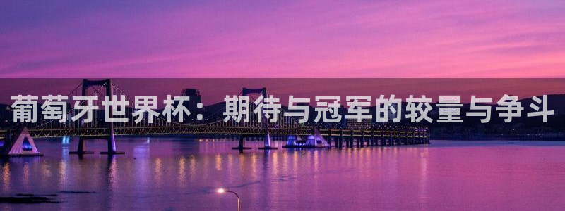 2026世界杯赛程:葡萄牙世界杯:期待与冠军的较量与争斗