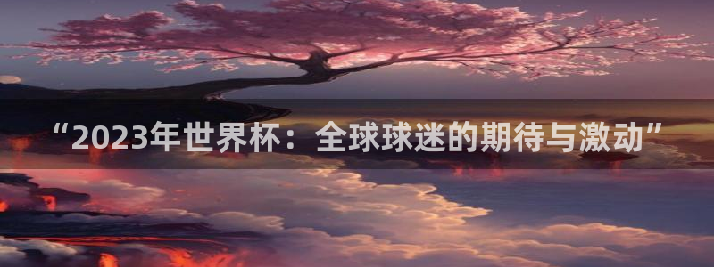 2026年世界杯对阵图:“2023年世界杯:全球球迷的期待与激动”