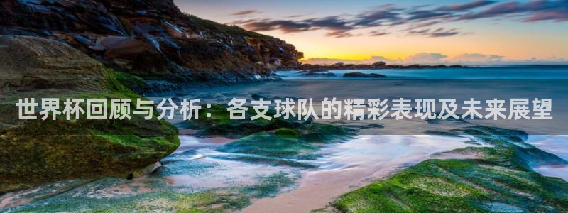 世界杯 2026:世界杯回顾与分析:各支球队的精彩表现及未来展望