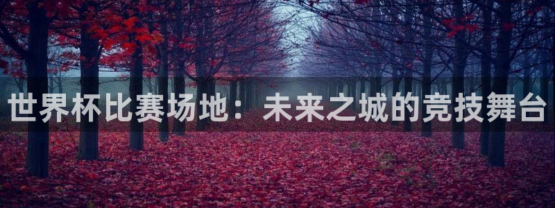 世界杯直播:世界杯比赛场地:未来之城的竞技舞台